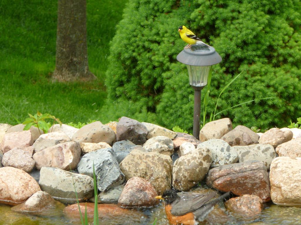 فيلا Trickling Waters Retreat Marquette المظهر الخارجي الصورة
