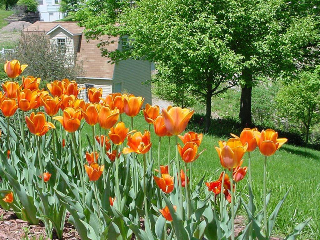 فيلا Trickling Waters Retreat Marquette المظهر الخارجي الصورة