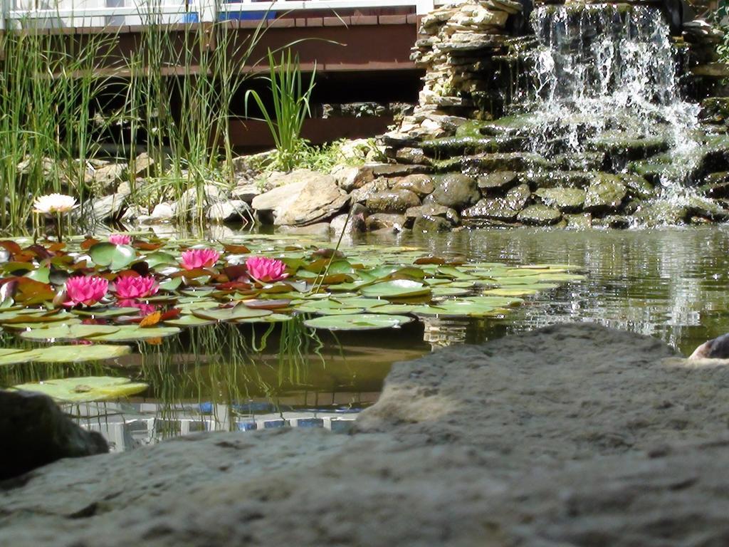 فيلا Trickling Waters Retreat Marquette المظهر الخارجي الصورة