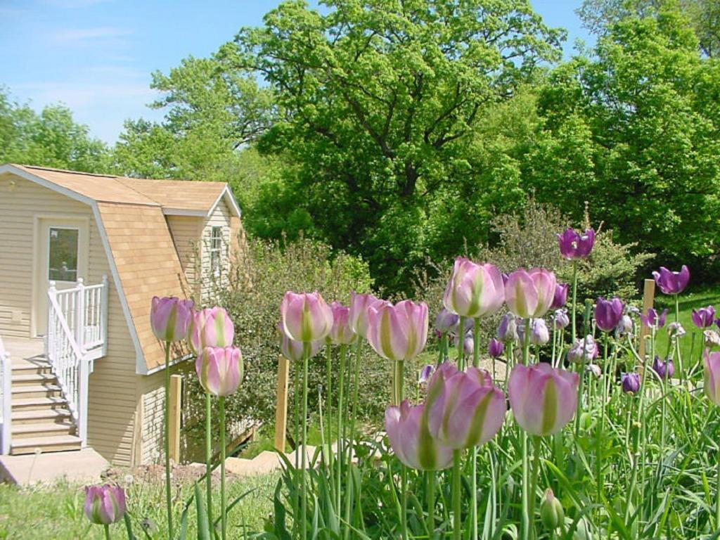 فيلا Trickling Waters Retreat Marquette المظهر الخارجي الصورة